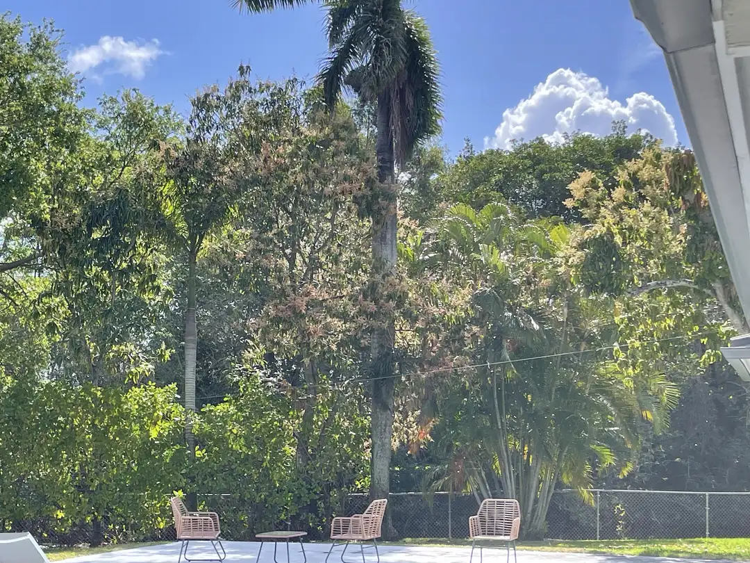 Residential patio image from Incubate PM used to support the section on sensitivity testing and recurring operating-cost tradeoffs