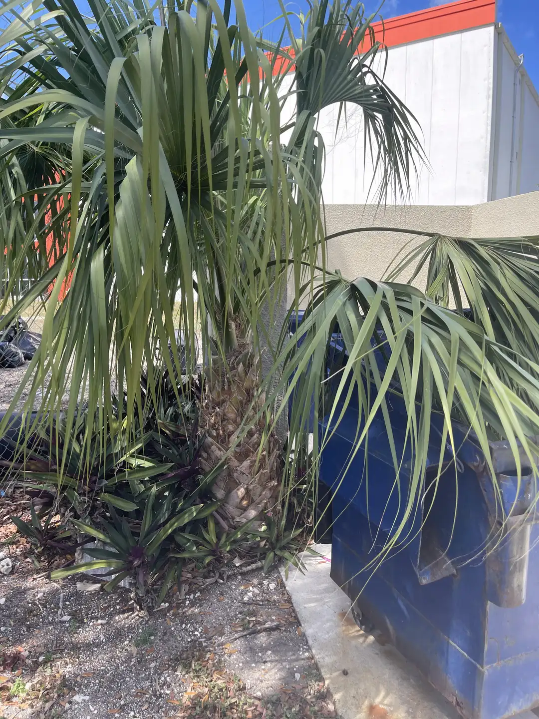 South Florida property image used to illustrate that a condo portal rollout is an operating-system problem, not only a legal memo