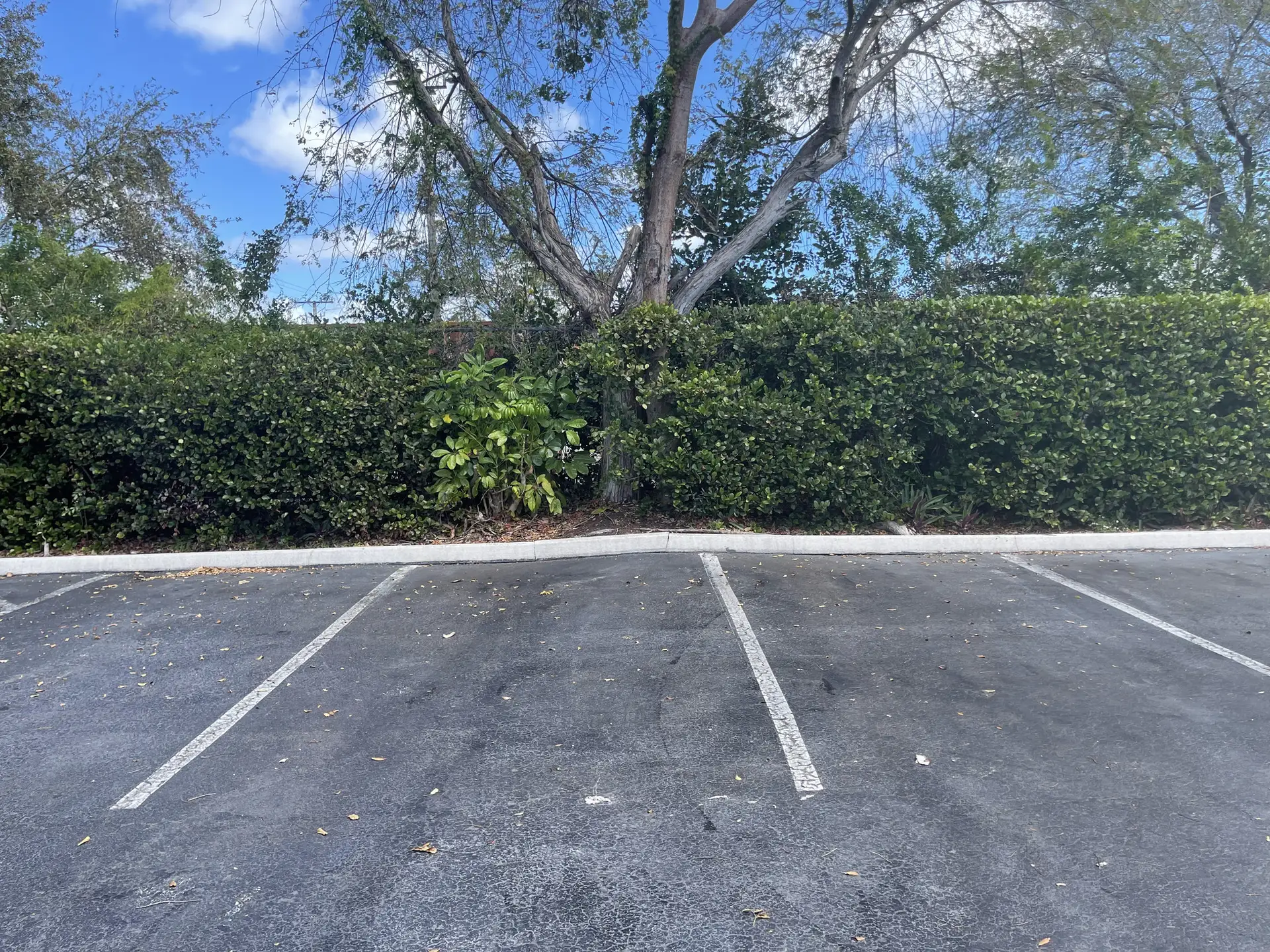 HOA Board Management Responsibilities — resource guide header image